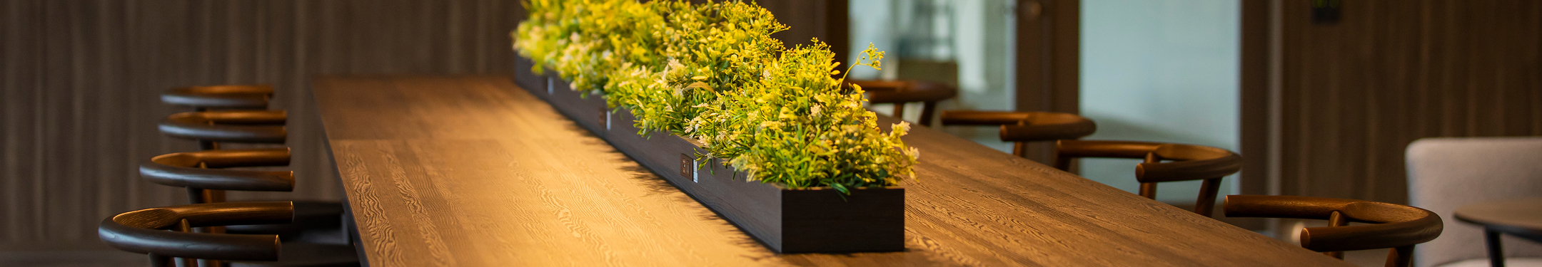 各種お知らせや開催情報